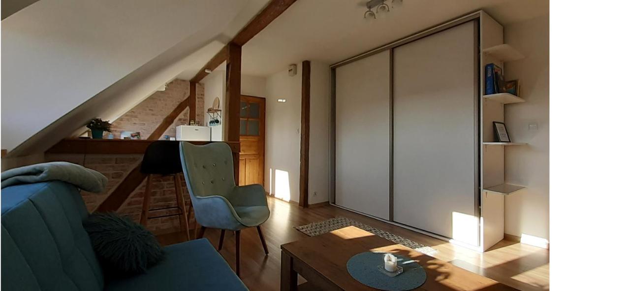 Urocze Studio Z Klimatem W Centrum Legnicy 웨그니차 외부 사진